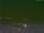Webcam in Peking, 417.7 km
