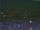 Webcam in Peking, 417.7 km entfernt