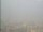 Webcam in Beijing, 555.2 km