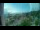 Webcam in Kota Kinabalu, 924.5 km entfernt