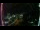 Webcam in Kota Kinabalu, 1648.1 km