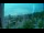 Webcam in Kota Kinabalu, 1095.1 km