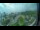 Webcam in Kota Kinabalu, 712.2 mi away