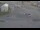 Webcam in Aarhus, 24.6 mi away