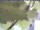 Webcam in Piding, 10.1 km