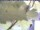 Webcam in Piding, 6.9 km