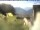 Webcam in Piding, 4.4 km entfernt