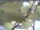 Webcam in Piding, 6.2 km