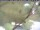 Webcam in Piding, 6.2 km