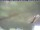 Webcam in Piding, 5 km
