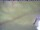 Webcam in Piding, 2.4 mi away