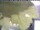 Webcam in Piding, 3.2 km entfernt