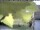 Webcam in Piding, 3.2 km