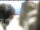 Webcam in Piding, 5.8 km entfernt