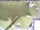 Webcam in Piding, 7.6 km entfernt