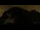 Webcam in Saas-Almagell, 10.4 mi away
