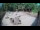 Webcam in Zagreb, 18 mi away
