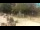 Webcam in Zagreb, 0 km entfernt
