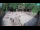 Webcam in Zagabria, 3.8 km