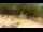 Webcam in Zagabria, 46.2 km