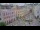 Webcam in Macau, 562.7 mi away