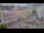 Webcam in Macao, 903.2 km entfernt