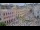 Webcam in Macau, 1447.6 km