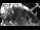 Webcam in Lech, 0.4 km