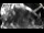 Webcam in Lech, 1.8 km