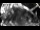 Webcam in Lech, 0.9 km