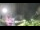 Webcam in Lages, 51.6 mi away