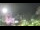 Webcam in Lages, 46.4 mi away