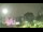 Webcam in Lages, 183.9 mi away