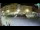 Webcam in Rovigno, 0 km