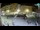 Webcam in Rovigno, 0.1 km