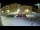Webcam in Rovinj, 12.4 km entfernt