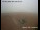 Webcam in Pagham, 9.7 mi away