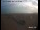 Webcam in Pagham, 81 km