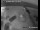 Webcam in Pagham, 12.7 mi away