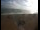 Webcam in Pagham, 47.9 km
