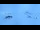 Webcam at the Pass Thurn, 1.5 mi away
