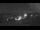 Webcam in Dobel, 7 km entfernt