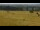 Webcam in Dobel, 9.2 km