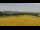 Webcam in Dobel, 6.6 km