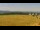Webcam in Dobel, 6.6 km entfernt