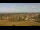 Webcam in Dobel, 6.9 mi away