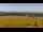Webcam in Dobel, 9.4 mi away