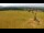 Webcam in Dobel, 11.4 mi away