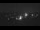 Webcam in Dobel, 6.3 km entfernt