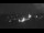 Webcam in Dobel, 13.2 mi away